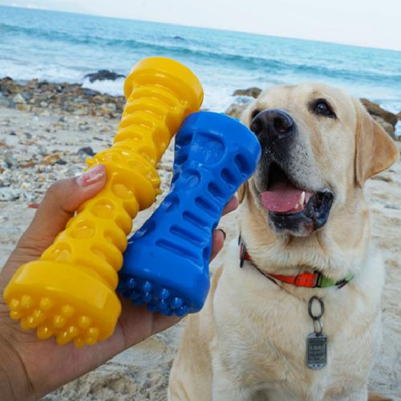 Dog toy Rubber sound bite resistant to