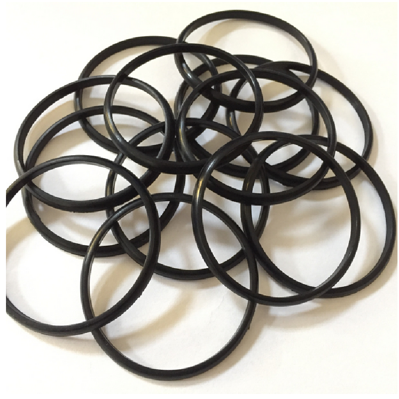 Silicon rubber sealing ring